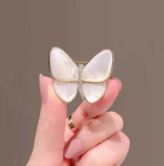 Elegant butterfly broach