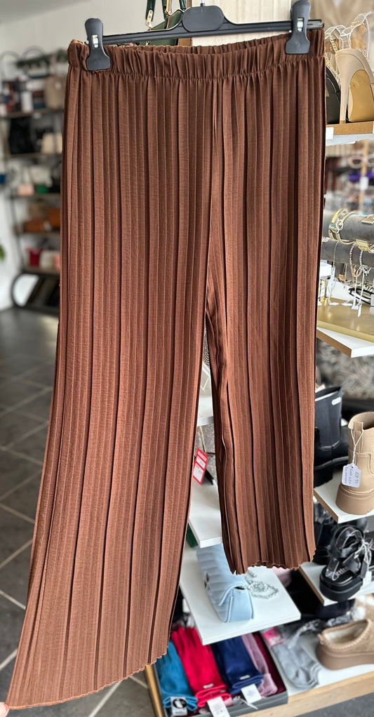 Brown pleated trousers